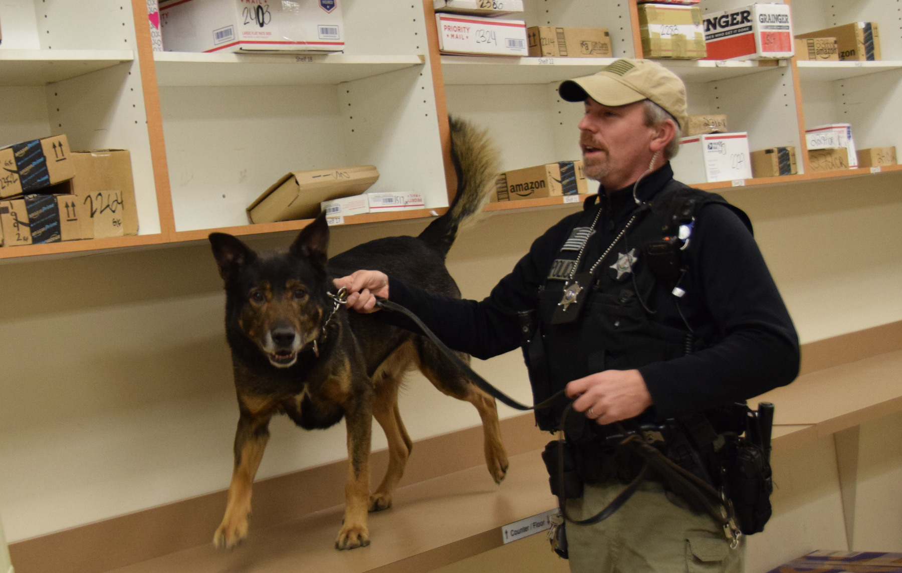 Quinty and his handler, Officer Doug Beckman, search a campus mailroom for packages filled with narcotics on March 2, 2016.